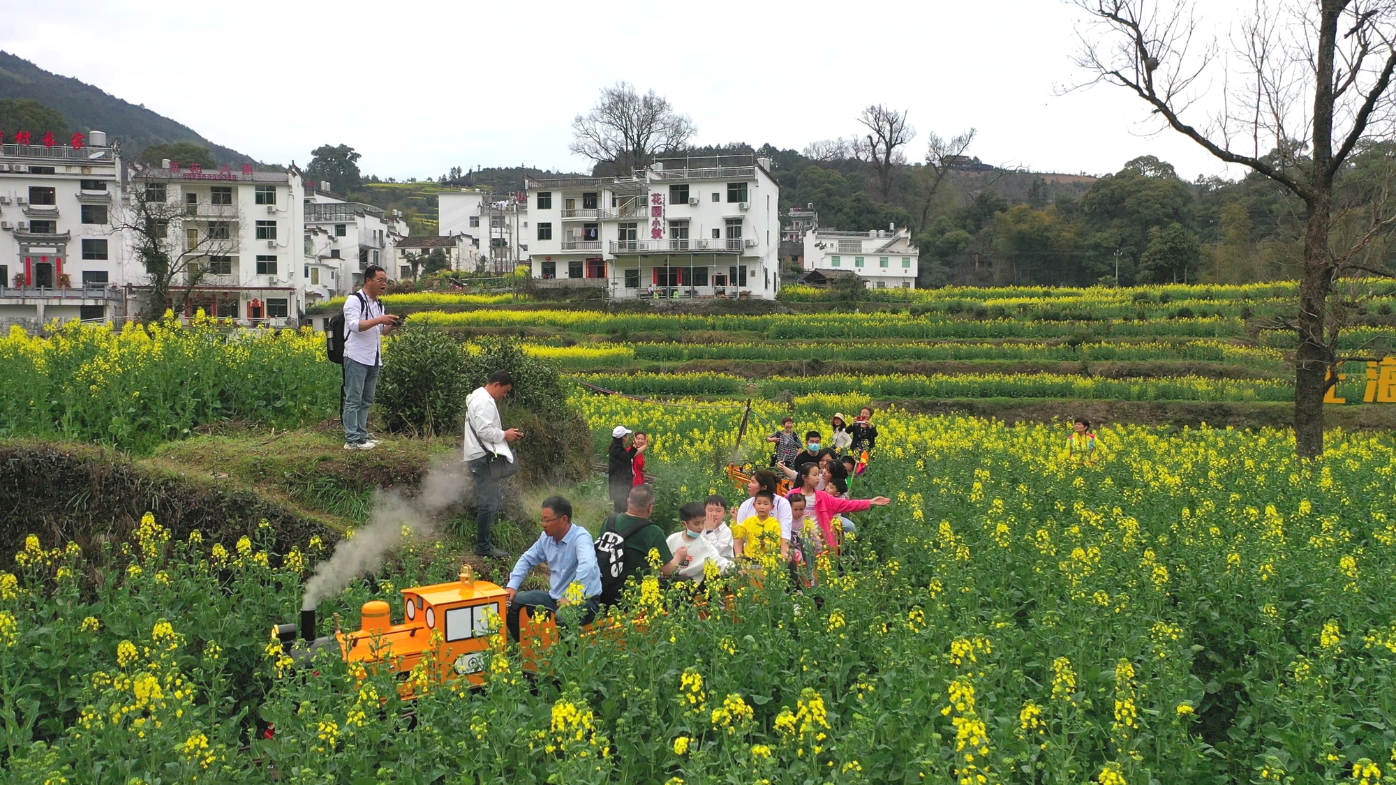 婺源：梯田花海人在画中游九游会J9上春山丨江西(图6)